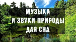 ? Музыка для Сна ? Пение птиц и журчание ручья ? Гипноз от стресса