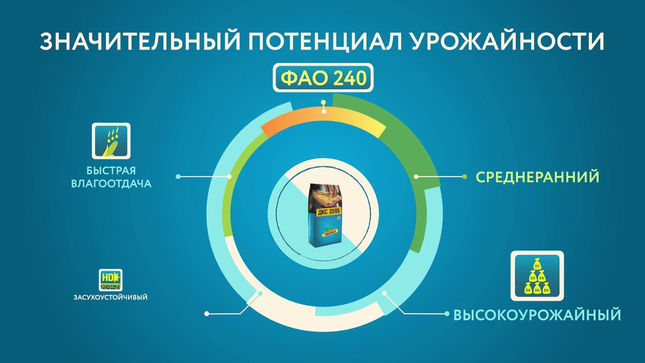 Dekalb_2 26sec approved смотреть онлайн