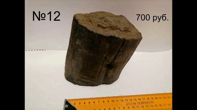 окаменелое дерево цена смотреть онлайн