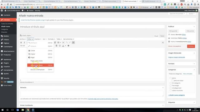 Curso de plugins para Wordpress 01: TinyMCE Advanced смотреть онлайн