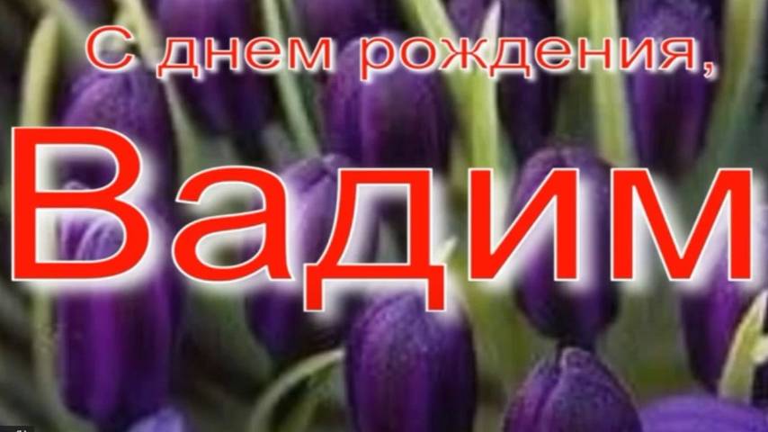 ВАДИМ, С ДНЕМ РОЖДЕНИЯ смотреть онлайн
