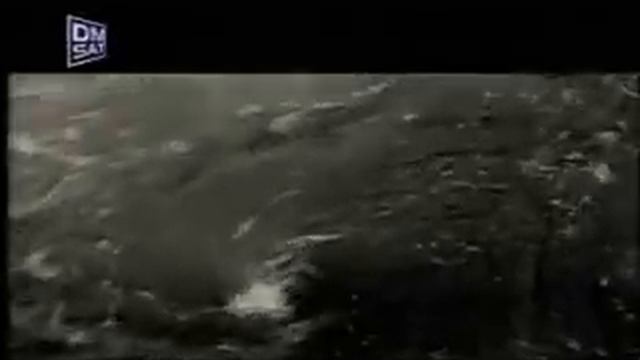 Saban Saulic - Dva Galeba Bela - (Official Video)