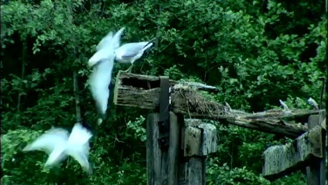 Алька 2006 pt4 смотреть онлайн