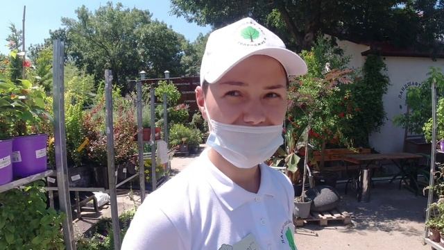 Геленджик.С экскурсией по питомнику мечты смотреть онлайн