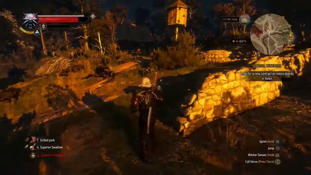 The Witcher 3 Wild Hunt - Part 129 смотреть онлайн