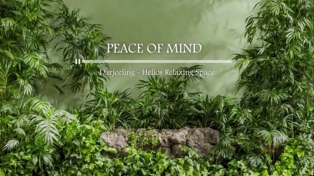 하루의 시작부터 좋은 에너지를 전하는 화사한 피아노 연주 - Good Day | PEACE OF MIND смотреть онлайн
