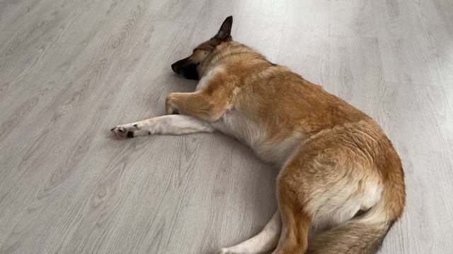 Кратко отвечу про Марту смотреть онлайн