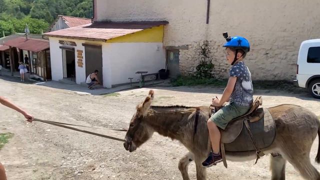 Ослики, ослики и не только. Видео зарисовка о ферме "Чудо ослик" в Крыму смотреть онлайн