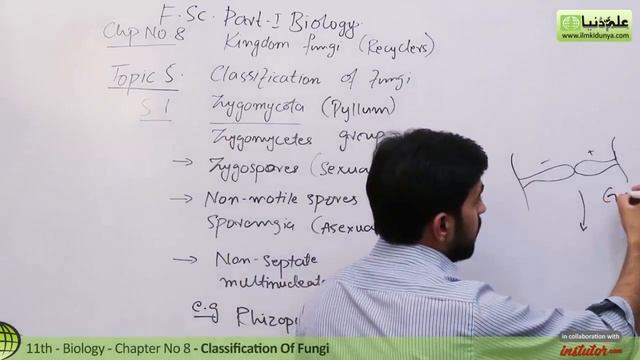 FSc Biology Book 1, Ch 8 - Classification in Fungi - 11th Class Biology смотреть онлайн