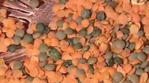 Как правильно выбрать чечевицу?