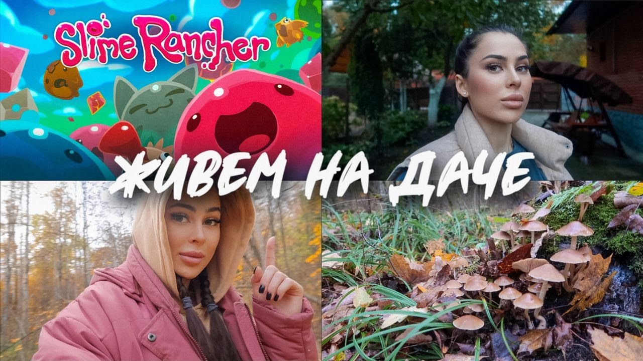 #ЖивемНаДаче 29 | ИЩЕМ ГРИБЫ | НОВАЯ КОСМЕТИКА | У МЕНЯ КАНИКУЛЫ смотреть онлайн