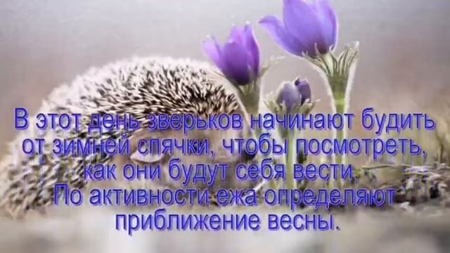 Уютные осенние чтения Выпуск 1