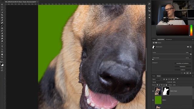 Hunde in Photoshop freistellen + Fell Pinsel (Brushes) смотреть онлайн