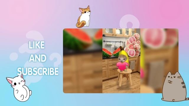 Happy Cat TikTok Compilation #2
