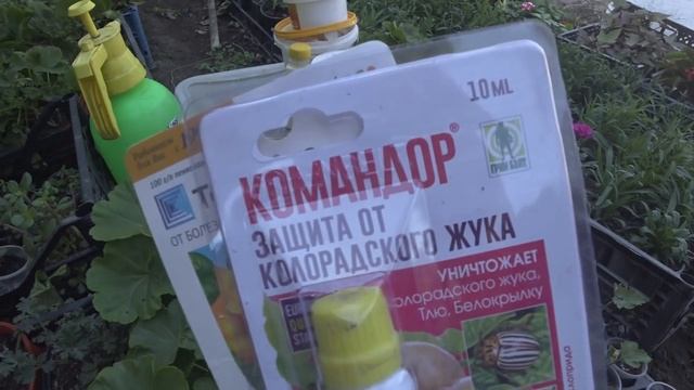 ОБРАБОТКА ГЕРАНИ ОСЕНЬ 2019 смотреть онлайн