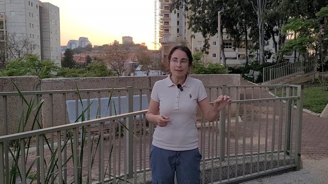 Покупка новой квартиры от застройщика в Израиле смотреть онлайн