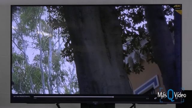 Presentacion cámaras Panasonic UX (26-4-2017) смотреть онлайн