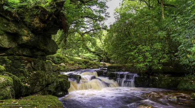 Звук бегущей воды, чтобы расслабиться и уснуть ✦ релакс ✦ relax смотреть онлайн