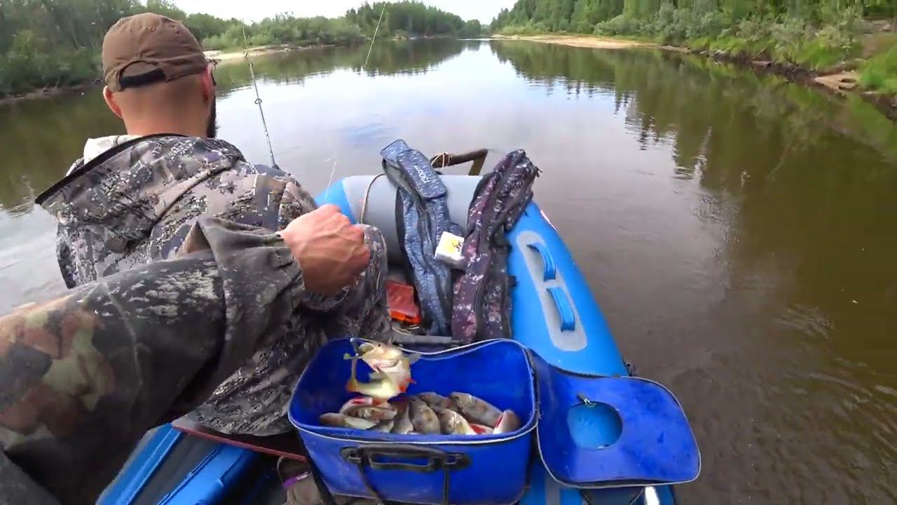 НАШЛИ ОКУНЕВЫЙ ОМУТ НА РЕКЕ ПЯКО - ПУР.РЫБАЛКА НА ЯМАЛЕ. смотреть онлайн