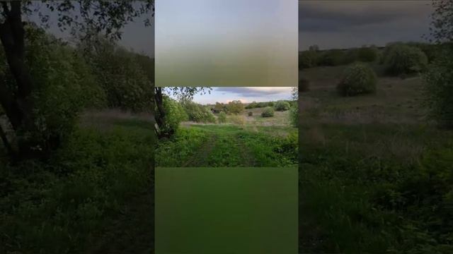 Звуки природы. Пение птиц. Деревня в России. смотреть онлайн