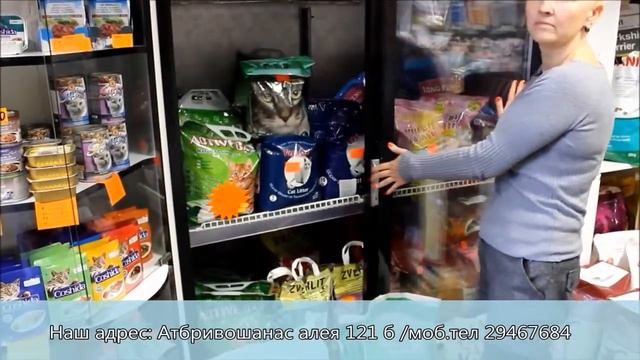 РЕКЛАМА В РЕЗЕКНЕ Зоомагазин смотреть онлайн