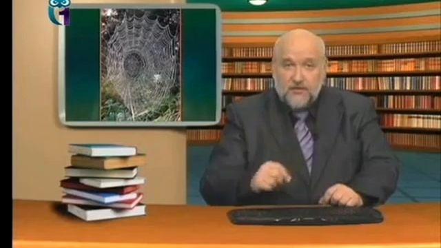 Паутина смотреть онлайн