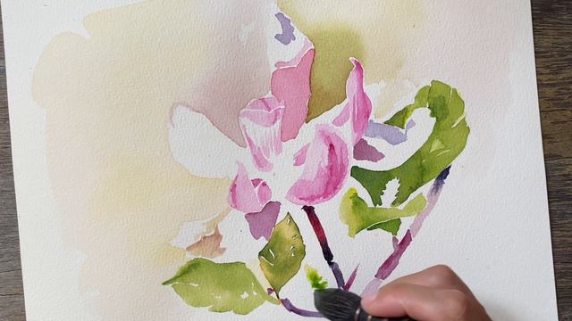 Watercolor / Magnolia flower / hoa Mộc Lan смотреть онлайн