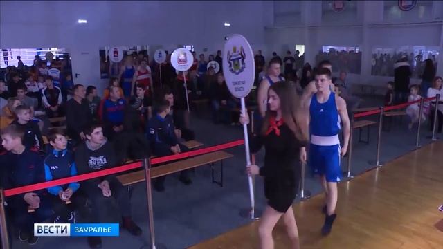 В Кургане проходит межрегиональный турнир по боксу памяти Меженова смотреть онлайн