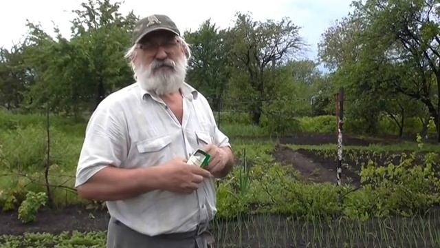 Посадка семян огуцов в открытый грунт смотреть онлайн