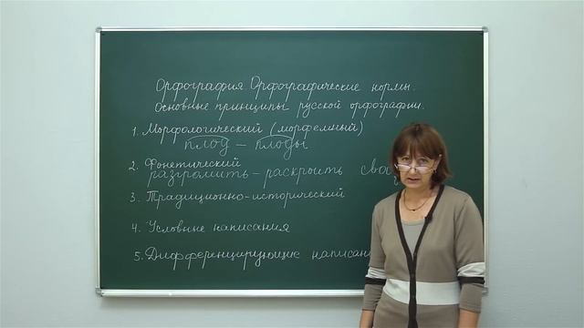 Русский язык. Орфография. Орфографические нормы. Основные принципы русской орфографии
