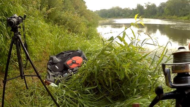 Что лучше, Каша или Покупная Прикормка? Сравнительная рыбалка на Фидер