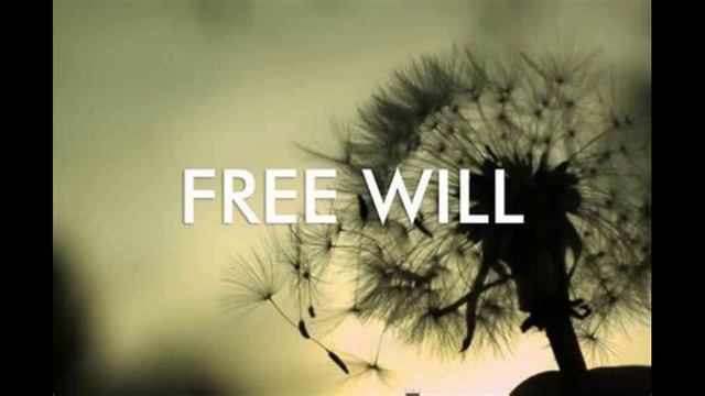 S.C. Free Will (Idioms) Pt 1 & 2 смотреть онлайн