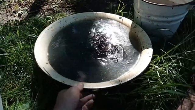 Обжигаю КУЛЬ МЕДНЫХ ПРОВОДОВ+Сколько КГ накопил за ГОД... смотреть онлайн