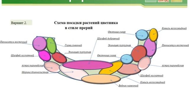 Входная зона смотреть онлайн