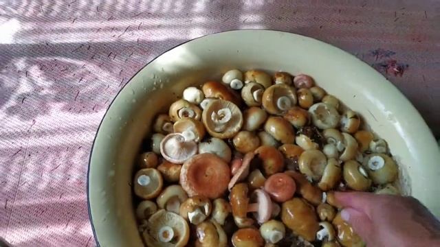 Анимационные Короткометражки