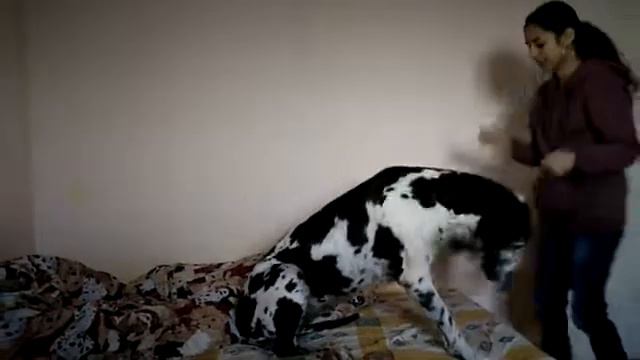 Поцелуи с Ким 14.01.18 смотреть онлайн