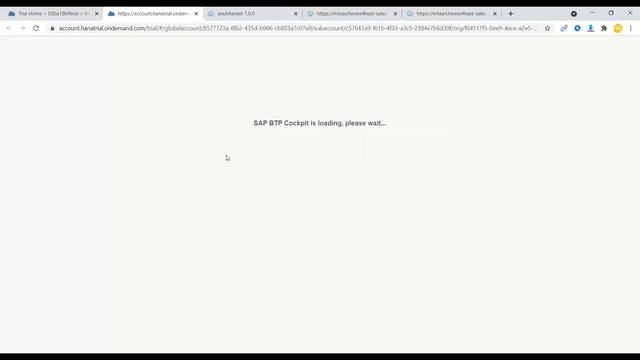 SAP BTP CAP middleware consume external API | SAP CAPM to Consume OData V4 | OData API consume BTP смотреть онлайн