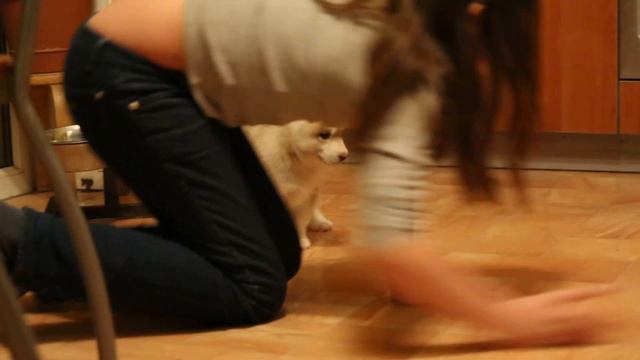 девочка 2 смотреть онлайн