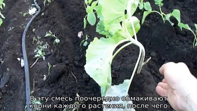 Стройка Провалов