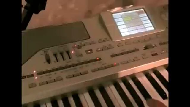 DemoII Oriental Styles KORG Pa800 EX By Tarek Bahari смотреть онлайн