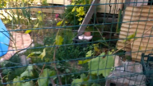 Харцызск,с днём России! смотреть онлайн