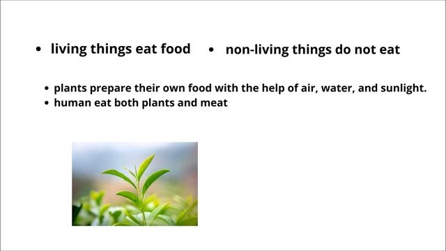 Our Environment | Living and Non-living things | смотреть онлайн