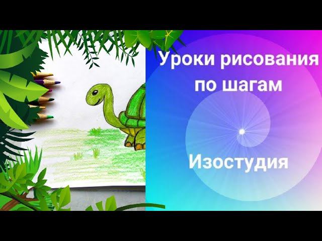 Черепаха рисунок карандашами. Урок рисования. Turtle Drawing With Pencils. Drawing Lesson.