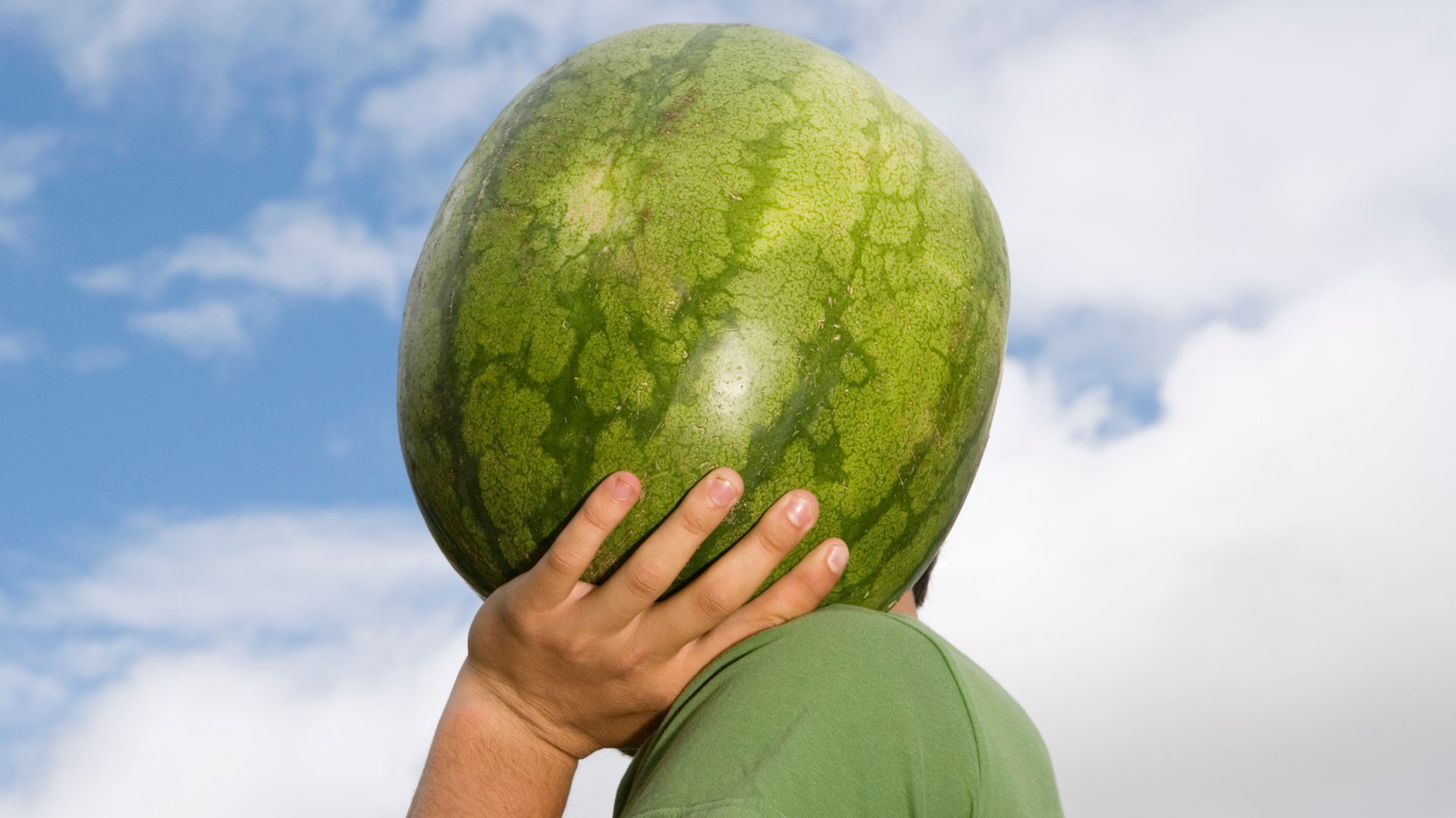 Старик, осёл и петух. Арабская.