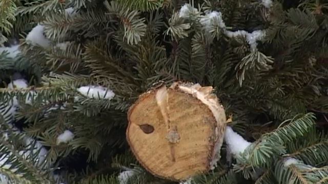 Ялинку на смітник чи у виробництво? | ВЕЖА | vezha.org смотреть онлайн