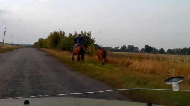 С всадником наперегонки Харьковская область село Кантакузовка смотреть онлайн