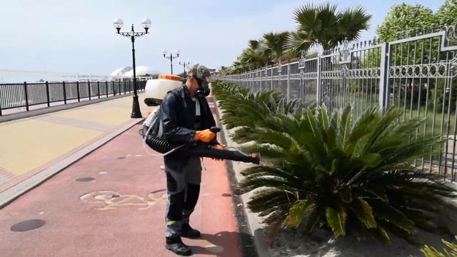 Обработка Саговников от вредителей, мучнистый червец. Ранцевый распылитель STIHL смотреть онлайн