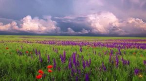 ДЫХАНИЕ для ЗДОРОВЬЯ и ОМОЛОЖЕНИЯ