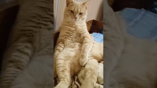аж глаз дёргается 😉😉 смотреть онлайн