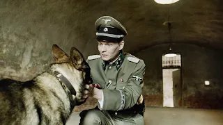 Брут Brutus - Трейлер HD 2016 смотреть онлайн
